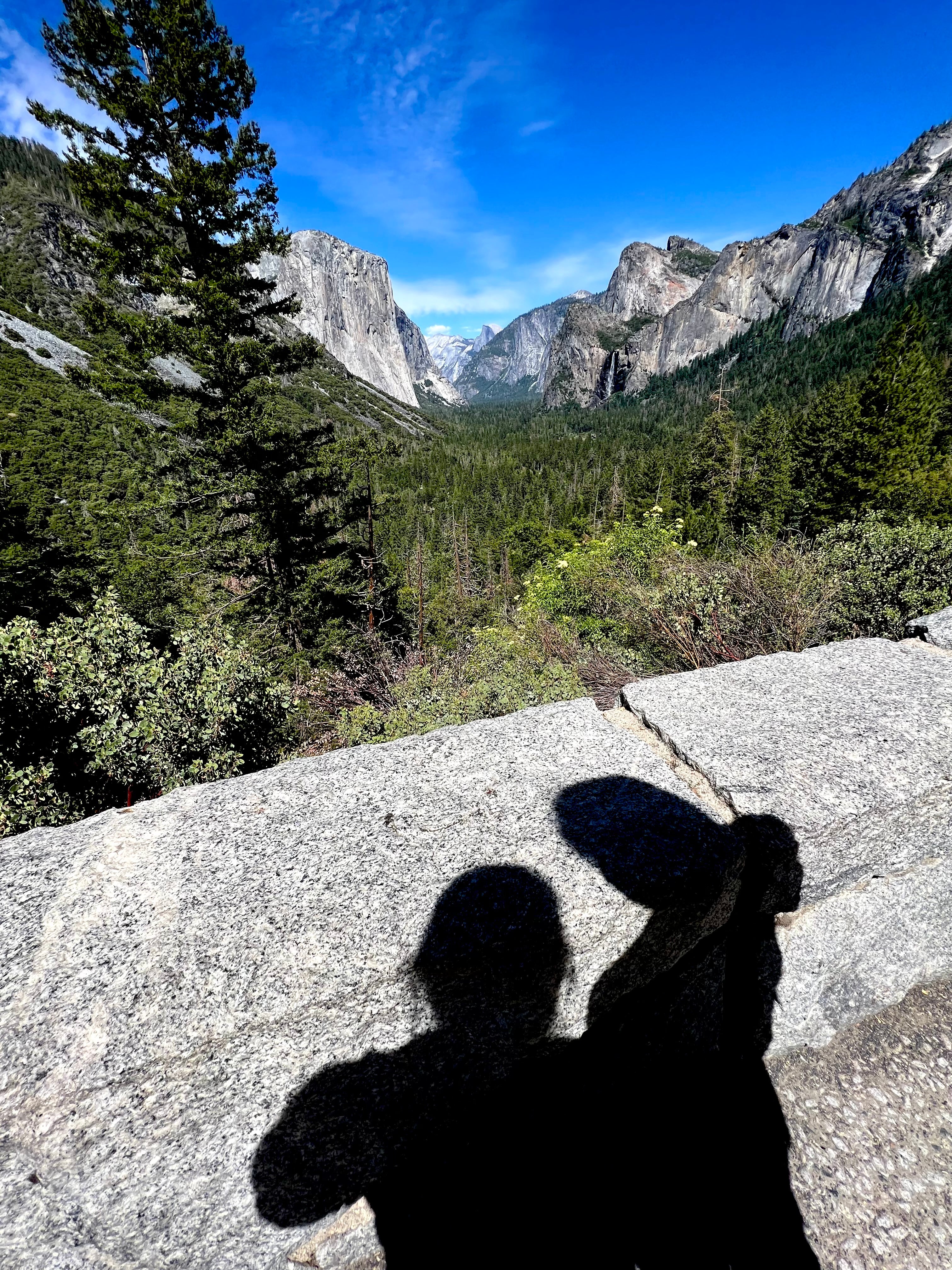 Yosemite Valley at Yosemite National Park, the cliff face of El Capitan on the left and Half Dome in the distance